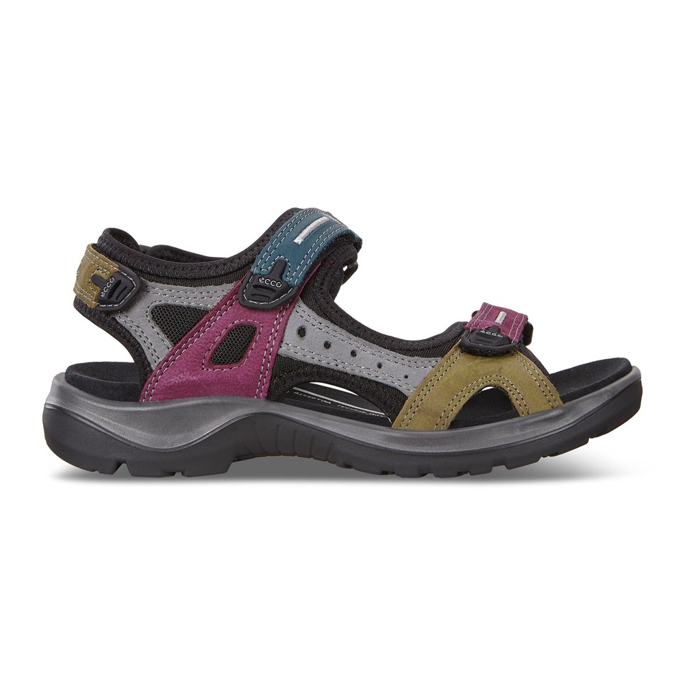 Sandalias Mujer - ECCO Offroad Flat - Verde Oliva - IBU520691